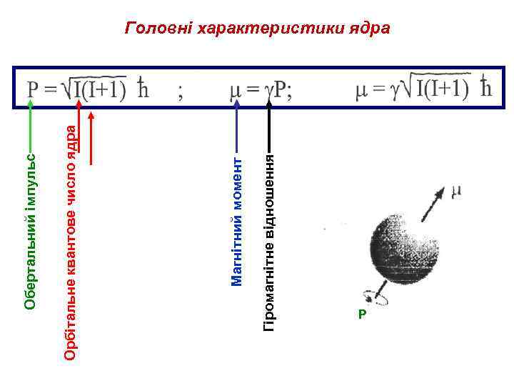 Гіромагнітне відношення Магнітний момент Орбітальне квантове число ядра Обертальний імпульс Головні характеристики ядра P