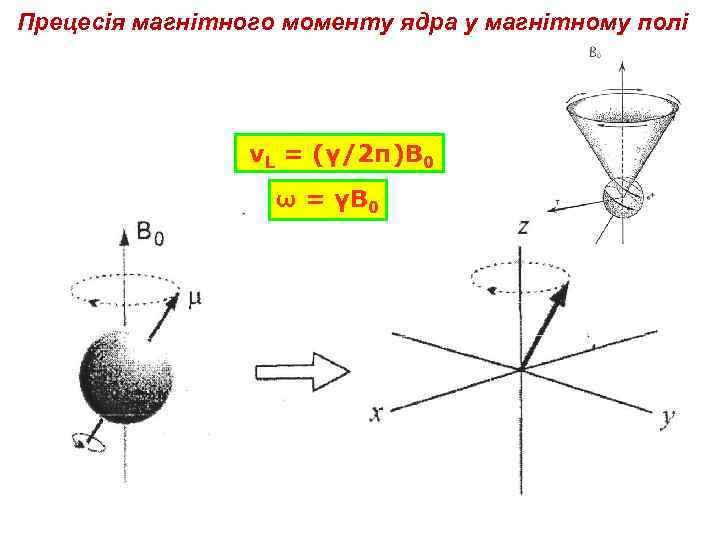 Прецесія магнітного моменту ядра у магнітному полі νL = (γ/2π)В 0 ω = γВ