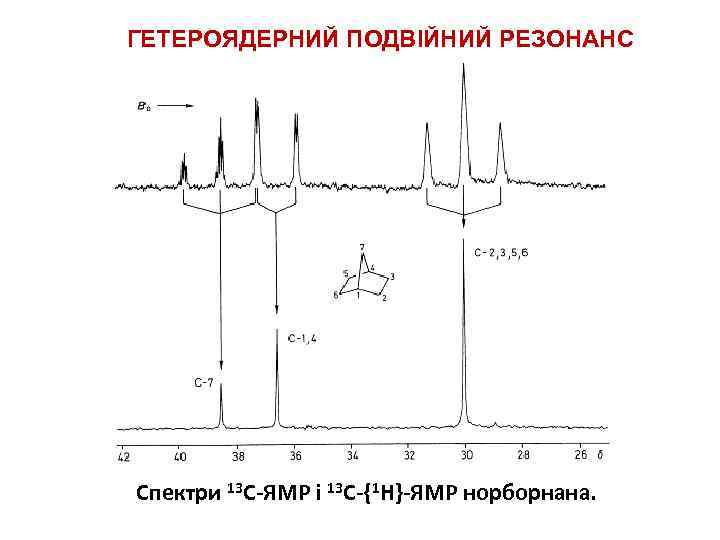 ГЕТЕРОЯДЕРНИЙ ПОДВІЙНИЙ РЕЗОНАНС Спектри 13 С-ЯМР і 13 С-{1 Н}-ЯМР норборнана. 