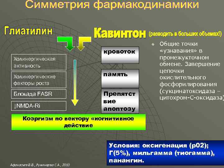 кровоток Холинергическая активность Холинергические факторы роста Блокада FASR ↓NMDA-Ri память Препятст вие апоптозу u