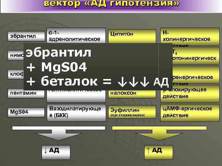 вектор «АД гипотензия» эбрантил ά-1 адренолитическое Нхолинергическое действие 5 -НТ 4 серотонинергическ ое β