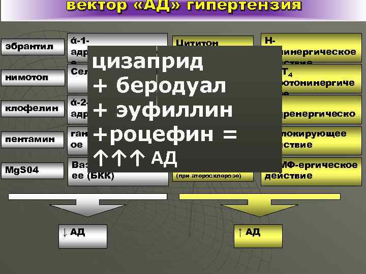 вектор «АД» гипертензия эбрантил нимотоп клофелин пентамин Mg. S 04 ά-1 адренолитическо е Селективное