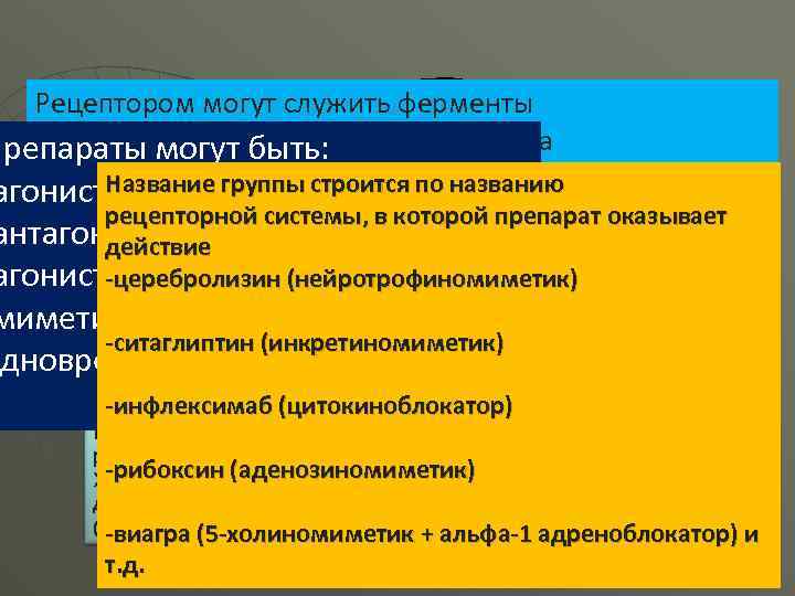 Рецептором могут служить ферменты мембран, цитозоля, митоходрий, ядра Препараты могут быть: ↓↑ Глюкоза Рецепторами