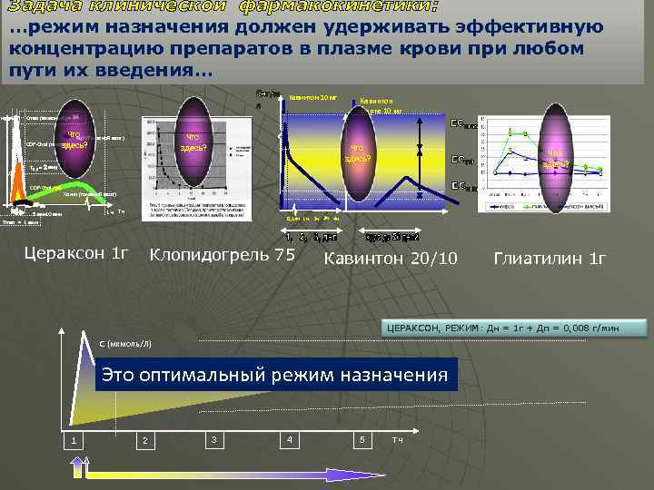 Задача клинической фармакокинетики: …режим назначения должен удерживать эффективную концентрацию препаратов в плазме крови при