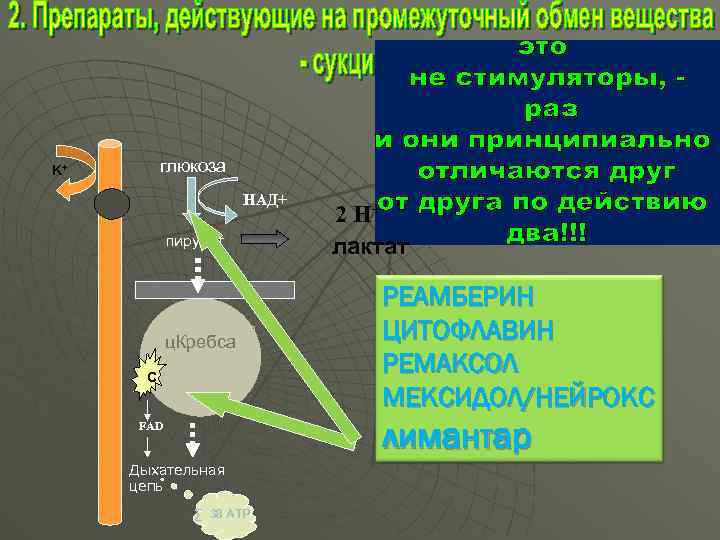 глюкоза K+ НАД+ пируват ц. Кребса С 2 H+ лактат РЕАМБЕРИН ЦИТОФЛАВИН РЕМАКСОЛ МЕКСИДОЛ/НЕЙРОКС