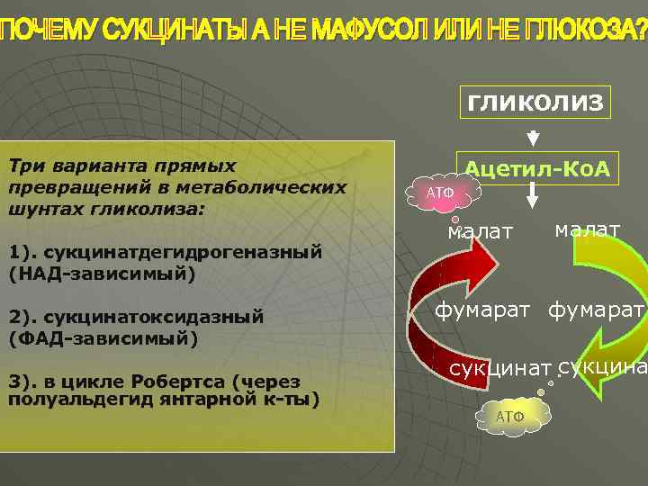 ГЛИКОЛИЗ Три варианта прямых превращений в метаболических шунтах гликолиза: 1). сукцинатдегидрогеназный (НАД-зависимый) 2). сукцинатоксидазный