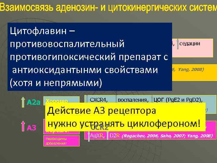 Цитофлавин – апоптоза, боли, Хорошо! А 1 противовоспалительный активности D 4, седации (Hasko, 2005;