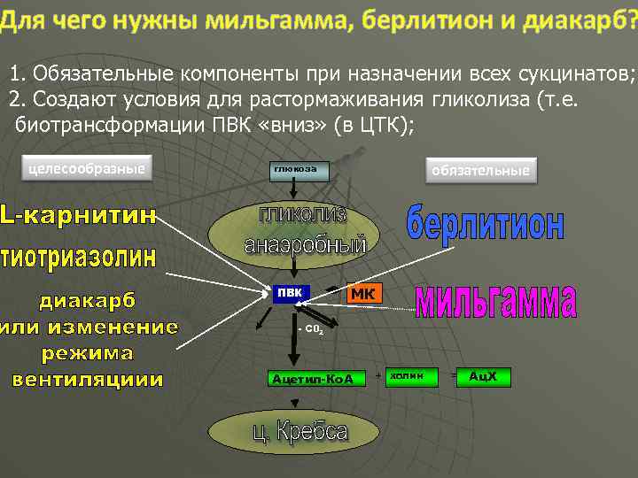 Для чего нужны мильгамма, берлитион и диакарб? 1. Обязательные компоненты при назначении всех сукцинатов;