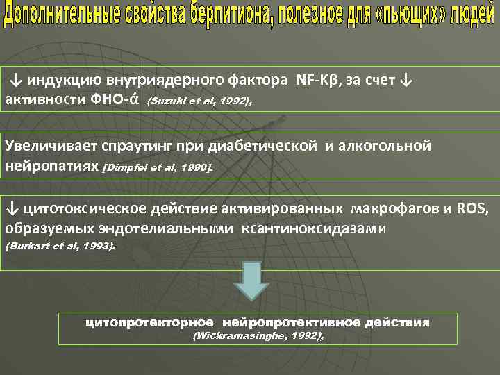 ↓ индукцию внутриядерного фактора NF-Kβ, за счет ↓ активности ФНО-ά (Suzuki et al, 1992),