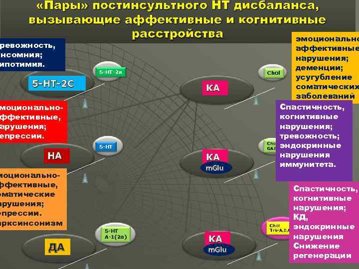  «Пары» постинсультного НТ дисбаланса, вызывающие аффективные и когнитивные расстройства эмоционально ревожность, Инсомния; ипотимия.