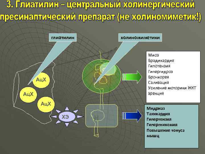 глиатилин холиномиметики Gi М Ац. Х ХЭ Н Миоз Брадикардия Гипотензия Гипергидроз Бронхорея Саливация