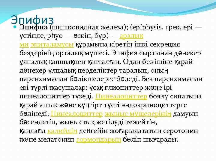 Эпифиз (шишковидная железа); (epiphysis, грек, ері — үстінде, рһуо — өскін, бүр) — аралық