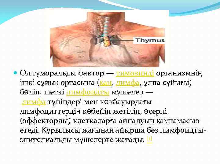  Ол гуморальды фактор — тимозинді организмнің ішкі сұйық ортасына (қан, лимфа, ұлпа сүйығы)