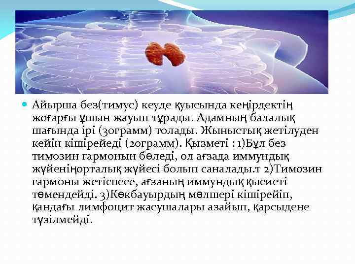  Айырша без(тимус) кеуде қуысында кеңірдектің жоғарғы ұшын жауып тұрады. Адамның балалық шағында ірі
