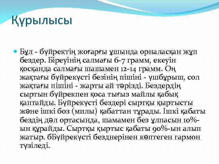 Қүрылысы Бұл - бүйректің жоғарғы ұшында орналасқан жұп бездер. Біреуінің салмағы 6 -7 грамм,