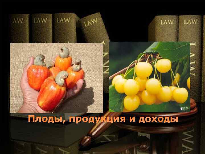 Плоды, продукция и доходы 