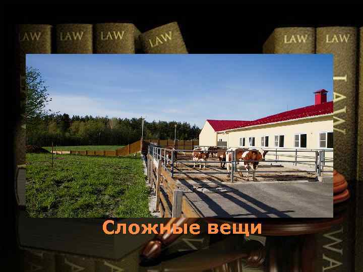 Сложные вещи 