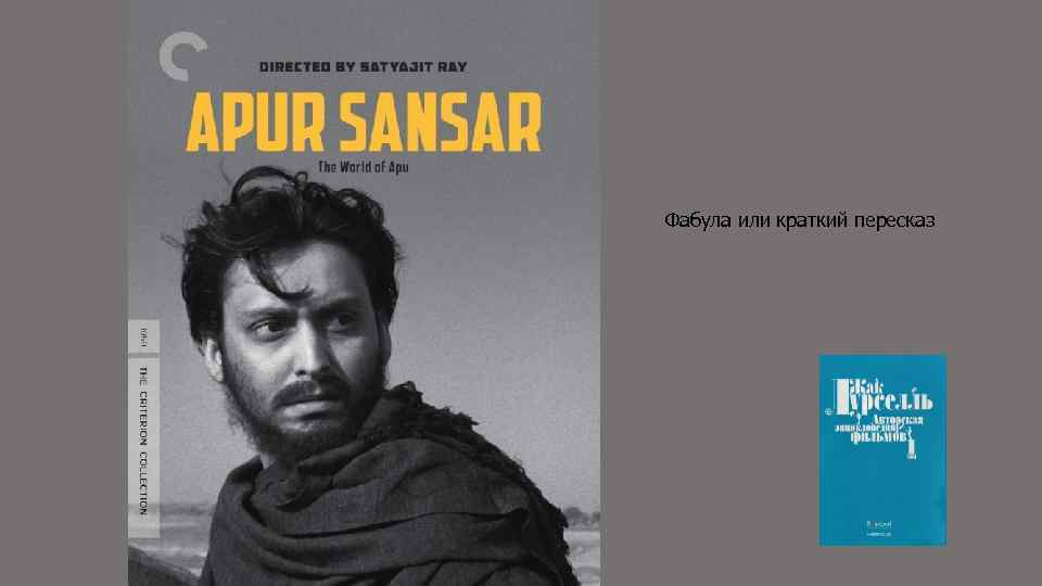 Фабула или краткий пересказ 