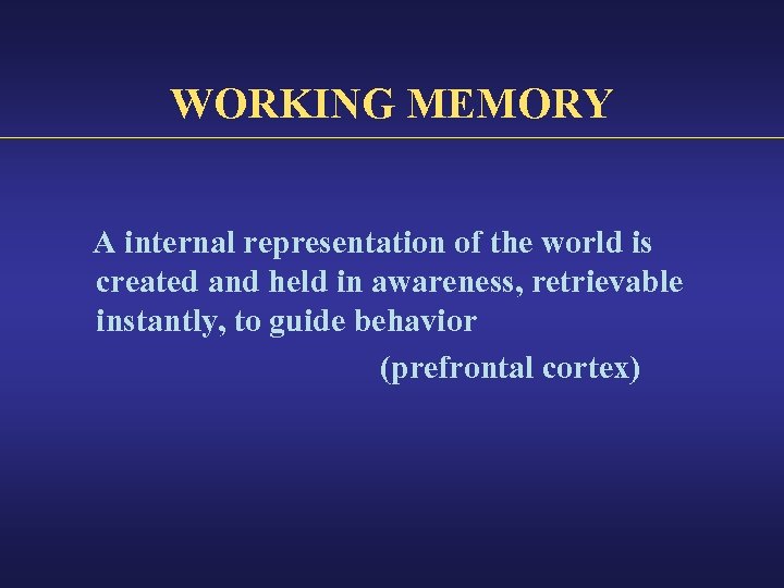 WORKING MEMORY A internal representation of the world is created and held in awareness,