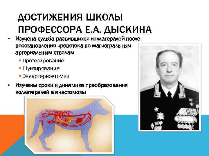 ДОСТИЖЕНИЯ ШКОЛЫ ПРОФЕССОРА Е. А. ДЫСКИНА • Изучена судьба развившихся коллатералей после восстановления кровотока