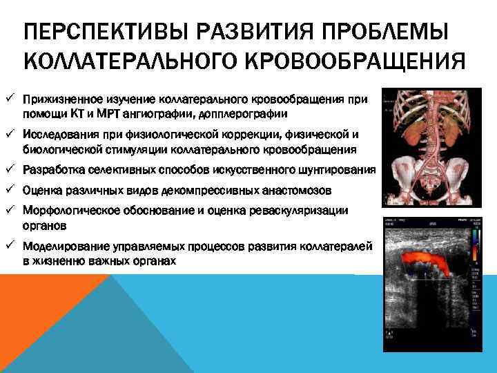 ПЕРСПЕКТИВЫ РАЗВИТИЯ ПРОБЛЕМЫ КОЛЛАТЕРАЛЬНОГО КРОВООБРАЩЕНИЯ ü Прижизненное изучение коллатерального кровообращения при помощи КТ и