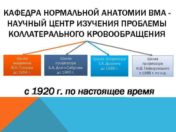 КАФЕДРА НОРМАЛЬНОЙ АНАТОМИИ ВМА НАУЧНЫЙ ЦЕНТР ИЗУЧЕНИЯ ПРОБЛЕМЫ КОЛЛАТЕРАЛЬНОГО КРОВООБРАЩЕНИЯ Школа академика В. Н.