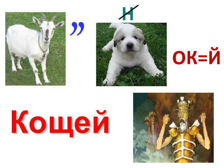 , , Кощей Н ОК=Й 
