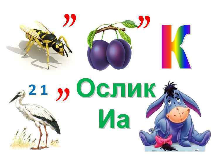 21 , , , Ослик Иа 