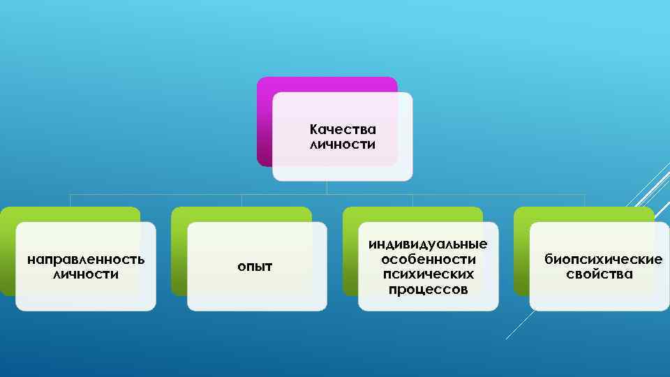 Качества личности направленность личности опыт индивидуальные особенности психических процессов биопсихические свойства 