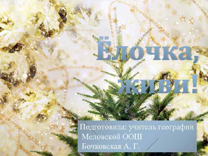 Ёлочка, живи! Подготовила: учитель географии Меловской ООШ Бочковская А. Г. 