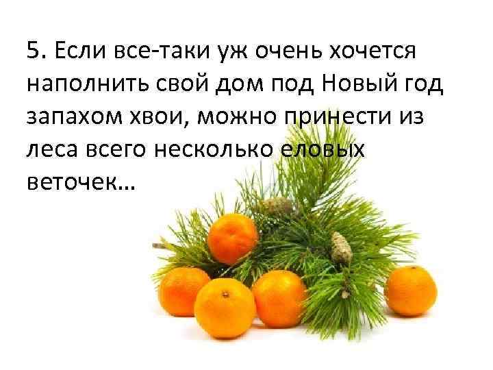 5. Если все-таки уж очень хочется наполнить свой дом под Новый год запахом хвои,