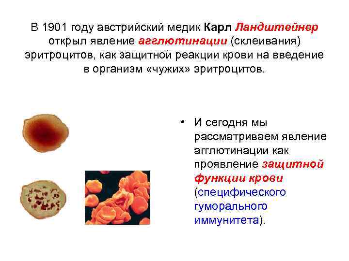 В 1901 году австрийский медик Карл Ландштейнер открыл явление агглютинации (склеивания) эритроцитов, как защитной