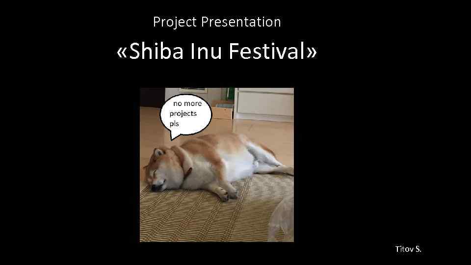 Project Presentation «Shiba Inu Festival» Titov S. 