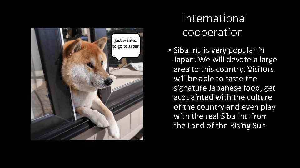 International cooperation • Siba Inu is very popular in Japan. We will devote a