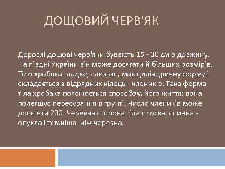 ДОЩОВИЙ ЧЕРВ'ЯК Дорослі дощові черв'яки бувають 15 - 30 см в довжину. На півдні