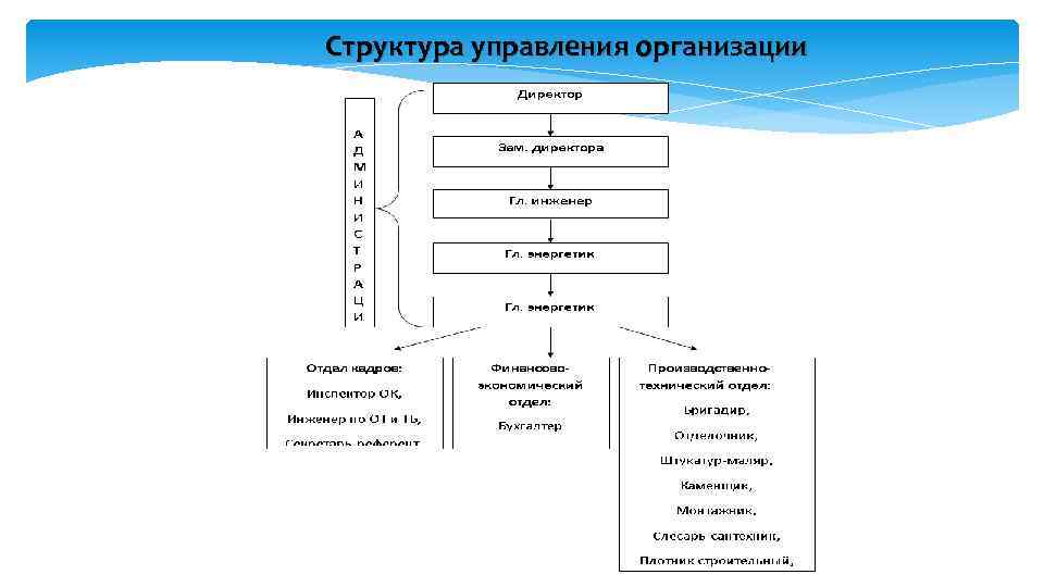 Структура управления организации 
