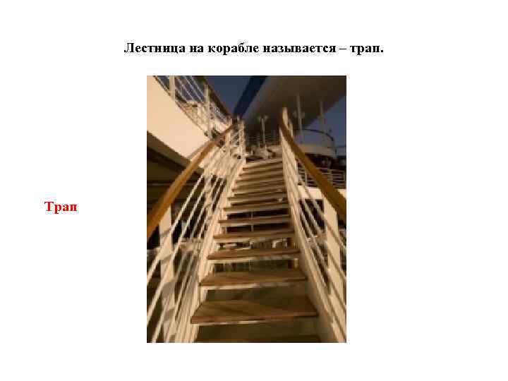 Лестница на корабле называется – трап. Трап 