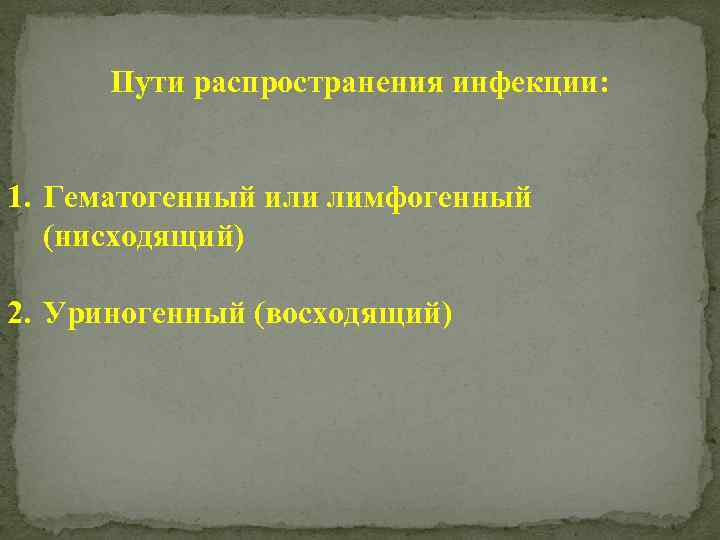 Пути распространения инфекции: 1. Гематогенный или лимфогенный (нисходящий) 2. Уриногенный (восходящий) 