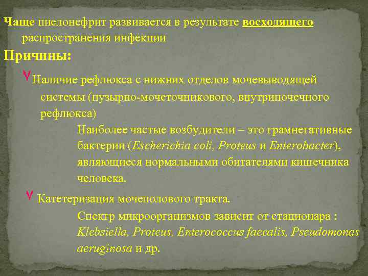 Чаще пиелонефрит развивается в результате восходящего распространения инфекции Причины: ٧Наличие рефлюкса с нижних отделов