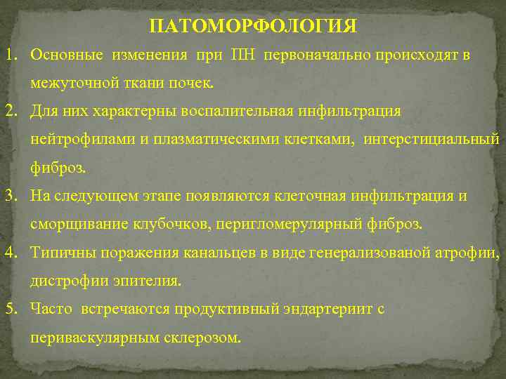 ПАТОМОРФОЛОГИЯ 1. Основные изменения при ПН первоначально происходят в межуточной ткани почек. 2. Для