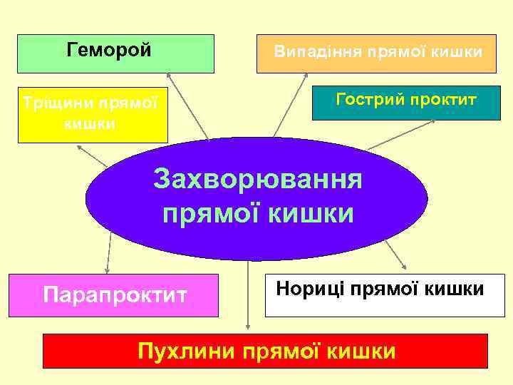 Геморой Випадіння прямої кишки Тріщини прямої кишки Гострий проктит Захворювання прямої кишки Парапроктит Нориці
