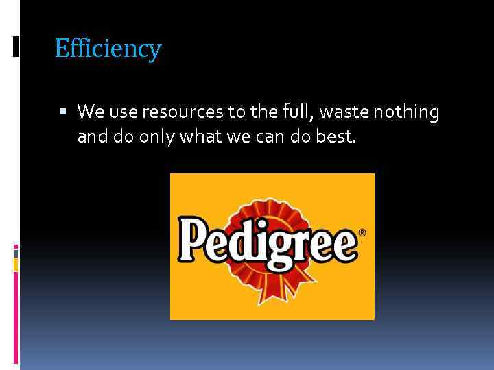 Efficiency We use resources to the full, waste nothing and do only what we