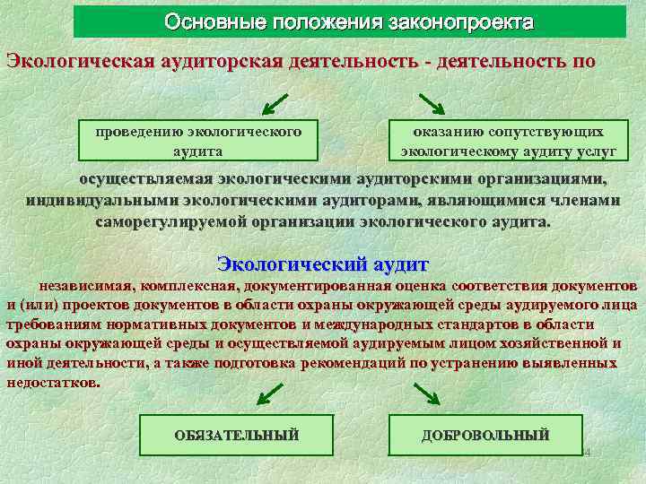 Основные положения законопроекта Экологическая аудиторская деятельность - деятельность по проведению экологического аудита оказанию сопутствующих