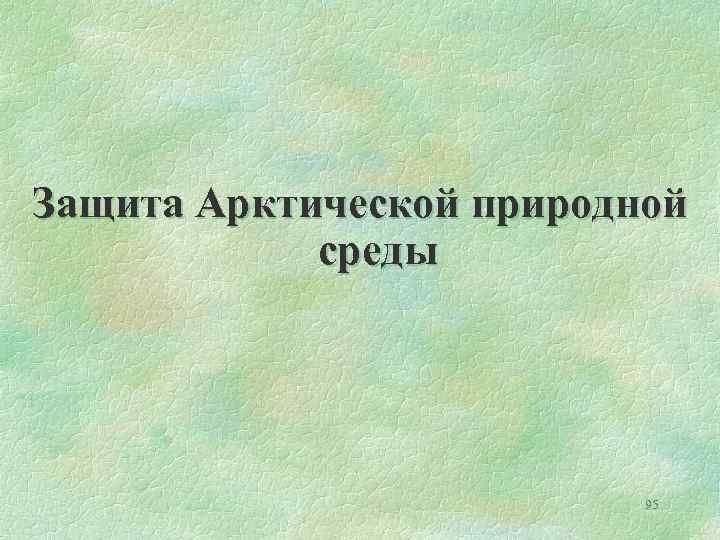 Защита Арктической природной среды 95 