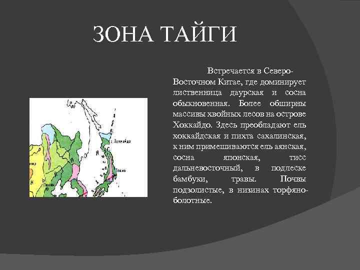 ЗОНА ТАЙГИ Встречается в Северо Восточном Китае, где доминирует лиственница даурская и сосна обыкновенная.