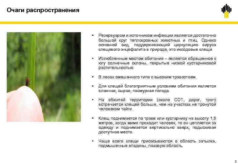 Очаги распространения • Резервуаром и источником инфекции является достаточно большой круг теплокровных животных и