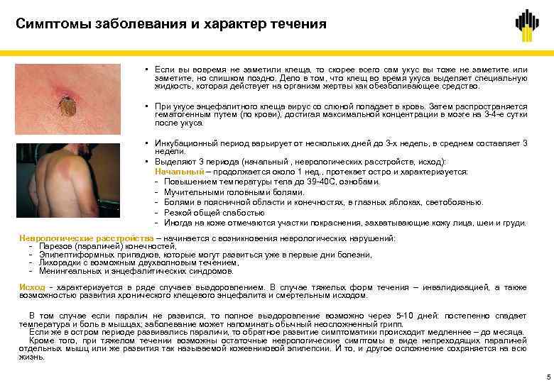 Симптомы заболевания и характер течения • Если вы вовремя не заметили клеща, то скорее