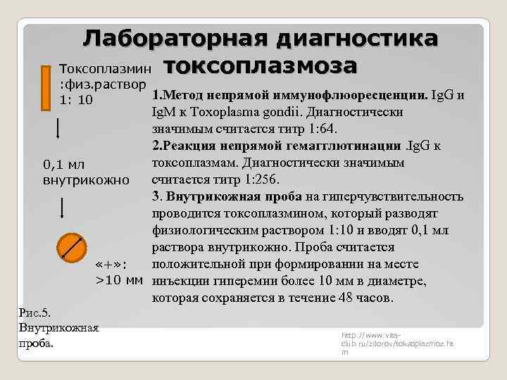 Лабораторная диагностика Токсоплазмин токсоплазмоза : физ. раствор 1. Метод непрямой иммунофлюоресценции. Ig. G и