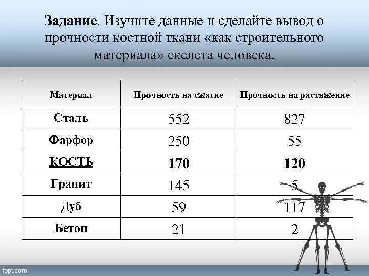 Твердость кости. Прочность кости. Прочность человеческих костей. Кость прочность на сжатие. Прочность на сжатие кости человека.