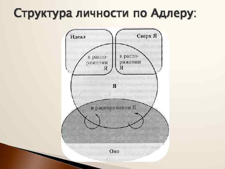 Схема апперцепции по адлеру